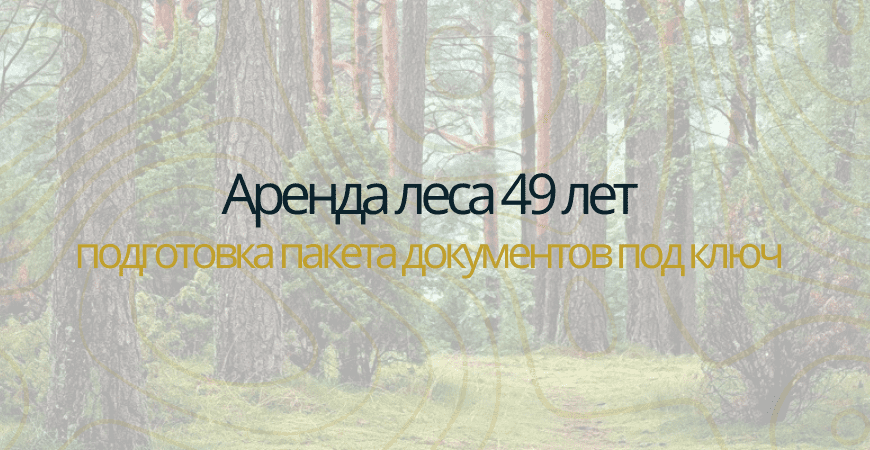 Аренда леса на 49 лет в Сосновом бору